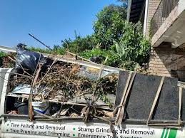 Best Attic Cleanout  in Graceville, FL